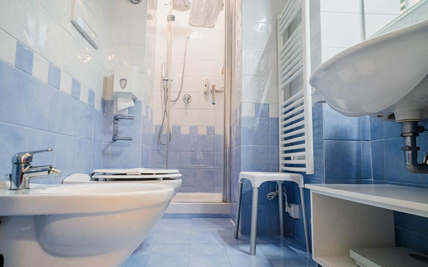 Camera Standard vista